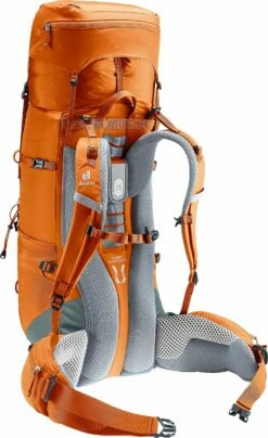 DEUTER AIRCONTACT LITE 40+10 HIKING PACK -Wildernessshop Shop 3340123 9319 AircontactLite40plus10 chestnut teal D 09