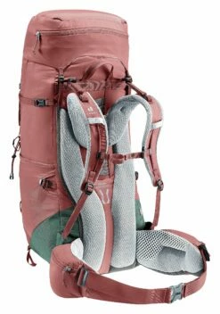 DEUTER AIRCONTACT LITE 45+10SL WOMENS HIKING PACK -Wildernessshop Shop 3340223 5215 AircontactLite45plus10SL caspia ivy D 03