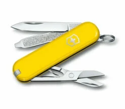 VICTORINOX CLASSIC -Wildernessshop Shop Vicnox Classic SunnySide